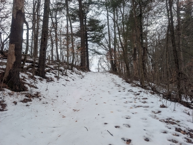 Outdoorsman Dream Noble County Timberland Tract 12 - image 17