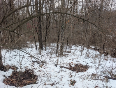 Outdoorsman Dream Noble County Timberland Tract 12 - image 18