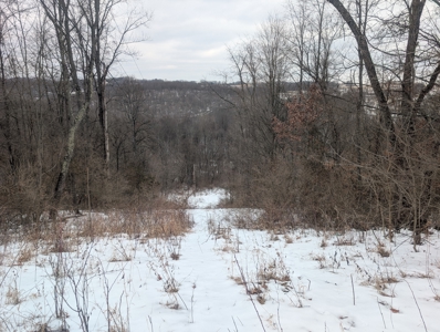 Outdoorsman Dream Noble County Timberland Tract 12 - image 4