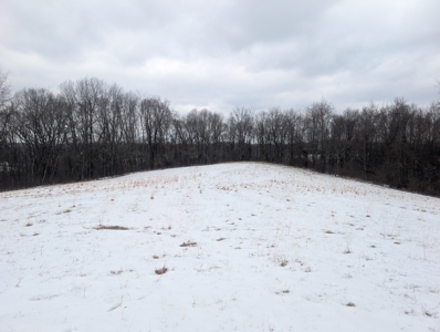 Outdoorsman Dream Noble County Timberland Tract 12 - image 5