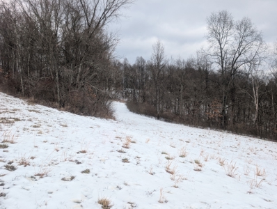 Outdoorsman Dream Noble County Timberland Tract 12 - image 19