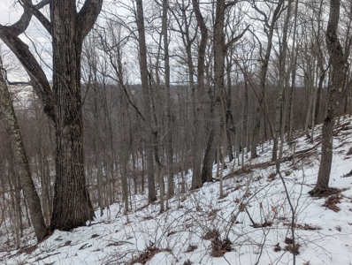 Outdoorsman Dream Noble County Timberland Tract 12 - image 11