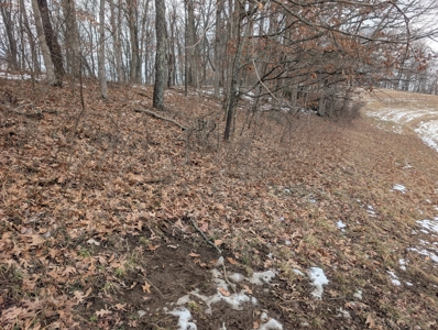 Outdoorsman Dream Noble County Timberland Tract 12 - image 15