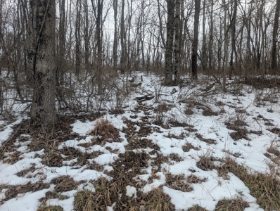 Outdoorsman Dream Noble County Timberland Tract 12 - image 3