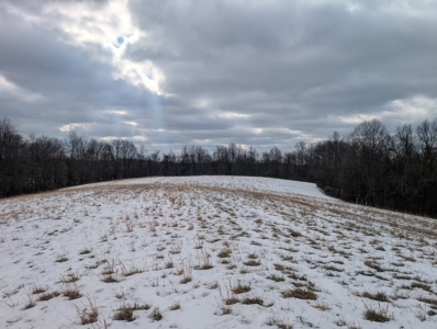 Outdoorsman Dream Noble County Timberland Tract 12 - image 21