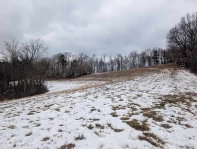 Outdoorsman Dream Noble County Timberland Tract 12 - image 20