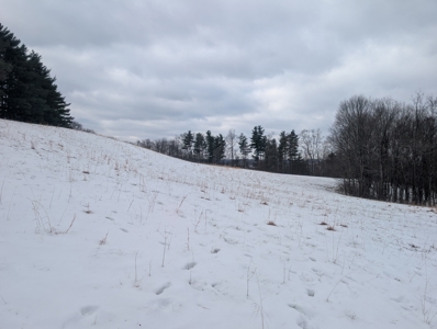 Outdoorsman Dream Noble County Timberland Tract 12 - image 6