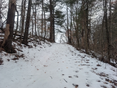 Outdoorsman Dream Noble County Timberland Tract 12 - image 16
