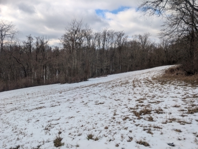 Outdoorsman Dream Noble County Timberland Tract 12 - image 23