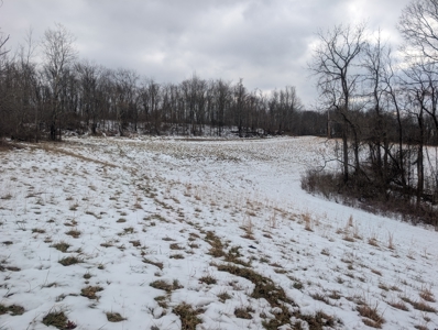 Outdoorsman Dream Noble County Timberland Tract 12 - image 12