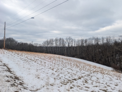 Outdoorsman Dream Noble County Timberland Tract 12 - image 2
