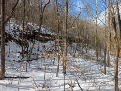 Noble County Hunting and Timber Tract 13 - image 21