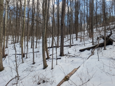 Noble County Hunting and Timber Tract 13 - image 16