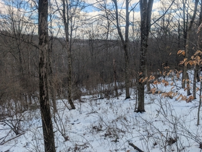 Noble County Hunting and Timber Tract 13 - image 5