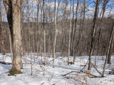 Noble County Hunting and Timber Tract 13 - image 7