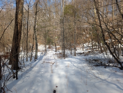 Noble County Hunting and Timber Tract 13 - image 11