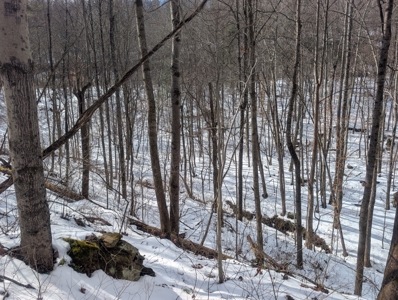 Noble County Hunting and Timber Tract 13 - image 15