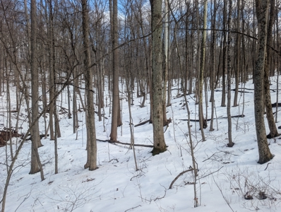 Noble County Hunting and Timber Tract 13 - image 17