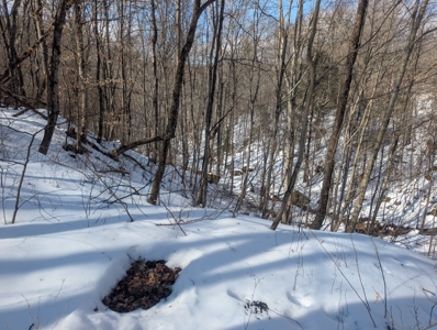 Noble County Hunting and Timber Tract 13 - image 13