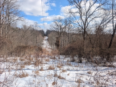 Noble County Hunting and Timber Tract 13 - image 3