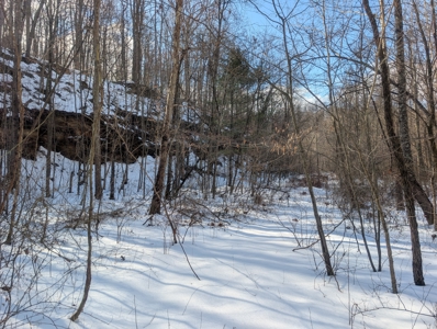 Noble County Hunting and Timber Tract 13 - image 12