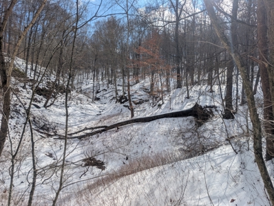 Noble County Hunting and Timber Tract 13 - image 19