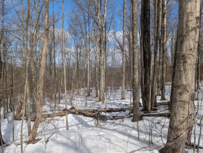 Noble County Hunting and Timber Tract 13 - image 10