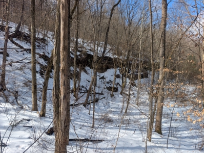 Noble County Hunting and Timber Tract 13 - image 18