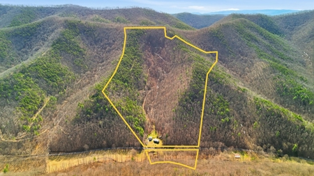 70 Acres Bordering National Forest – Ultimate Retreat - image 32