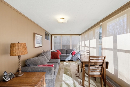 70 Acres Bordering National Forest – Ultimate Retreat - image 20