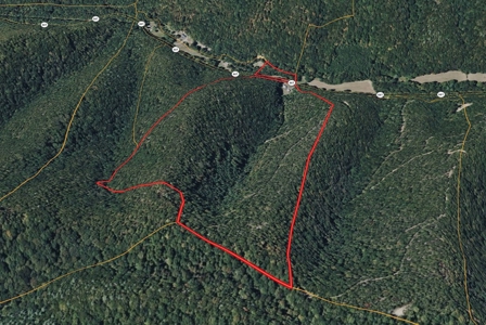 70 Acres Bordering National Forest – Ultimate Retreat - image 41