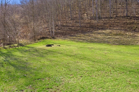 70 Acres Bordering National Forest – Ultimate Retreat - image 35