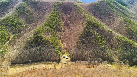 70 Acres Bordering National Forest – Ultimate Retreat - image 31