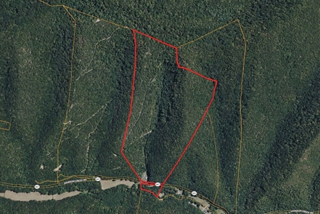 70 Acres Bordering National Forest – Ultimate Retreat - image 40