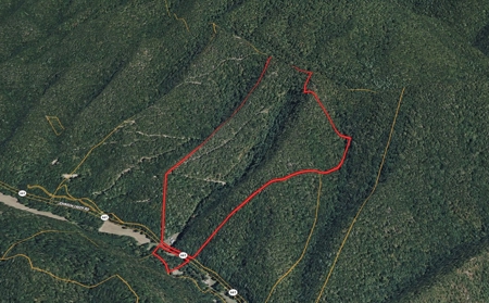 70 Acres Bordering National Forest – Ultimate Retreat - image 39