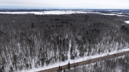 43+/-  Acre Marathon County Hunting, Timber and Rec Tract For Sal - image 2