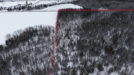 43+/-  Acre Marathon County Hunting, Timber and Rec Tract For Sal - image 23