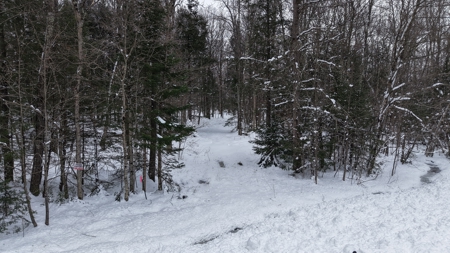 43+/-  Acre Marathon County Hunting, Timber and Rec Tract For Sal - image 4