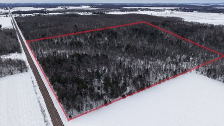 43+/-  Acre Marathon County Hunting, Timber and Rec Tract For Sal - image 21