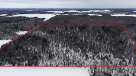 43+/-  Acre Marathon County Hunting, Timber and Rec Tract For Sal - image 22