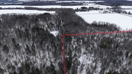 43+/-  Acre Marathon County Hunting, Timber and Rec Tract For Sal - image 24