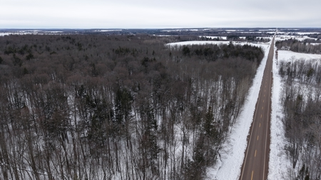 43+/-  Acre Marathon County Hunting, Timber and Rec Tract For Sal - image 5