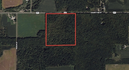 43+/-  Acre Marathon County Hunting, Timber and Rec Tract For Sal - image 12