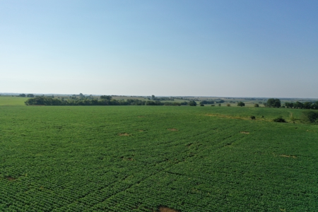 Osage County Kansas 75 Acre Build Site & Tillable Farm - image 14