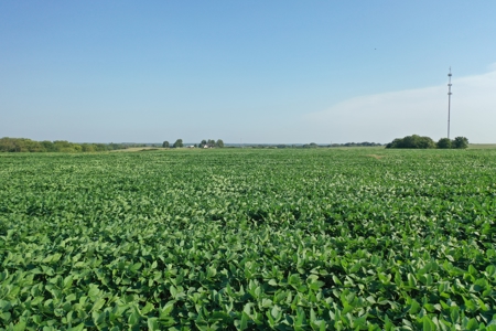 Osage County Kansas 75 Acre Build Site & Tillable Farm - image 11