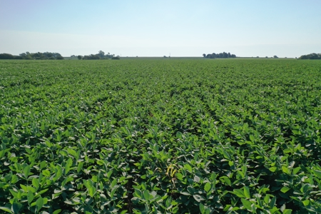 Osage County Kansas 75 Acre Build Site & Tillable Farm - image 21