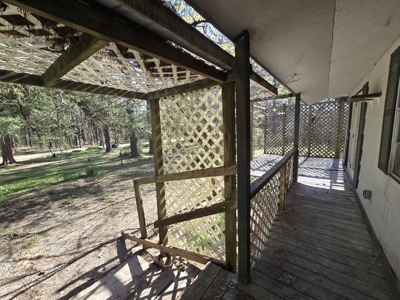 Country Acreage & Shop - Adjoining National Forest Area - image 35