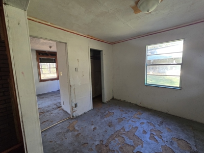Country Acreage & Shop - Adjoining National Forest Area - image 39