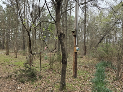 Country Acreage & Shop - Adjoining National Forest Area - image 6