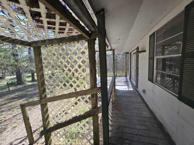 Country Acreage & Shop - Adjoining National Forest Area - image 33